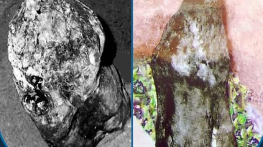 tirukokarnam-mahabaleshwarar-temple