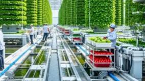china-achievement-news-agriculture-city