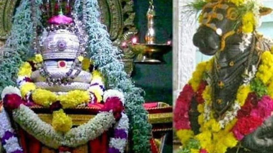 sani-pirathosam-viratham-palangal