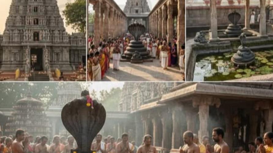 nagarkoil-nagaraja-temple