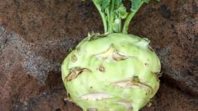 nukkal-vegetable-health-tips