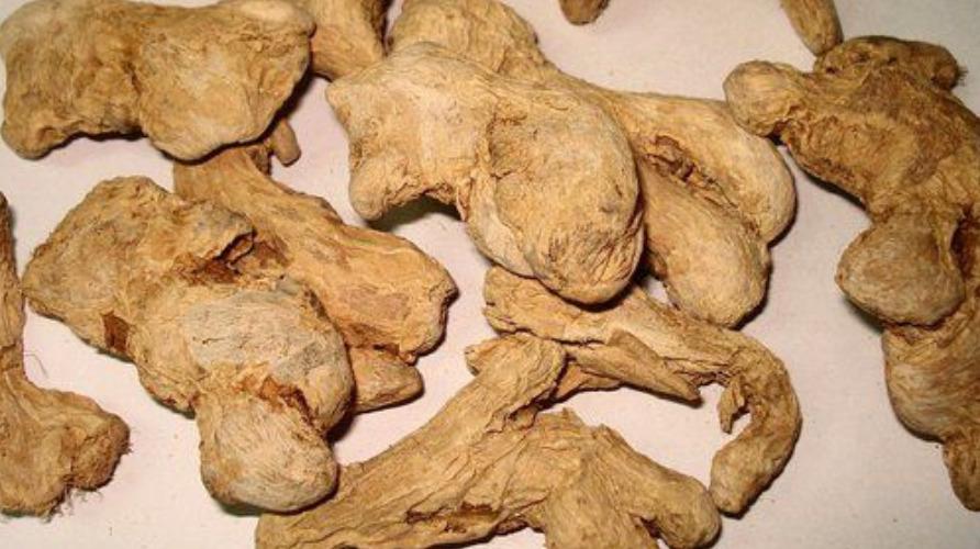 sukku-podi-health-tips