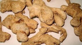 sukku-podi-health-tips