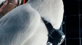 cyborg-drone-in-russia