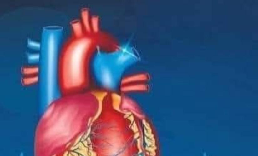 heart-beat-health-tips