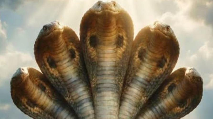 sarpa-gayatri-manthiram