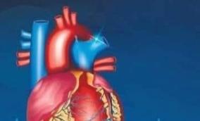 heart-beat-health-tips