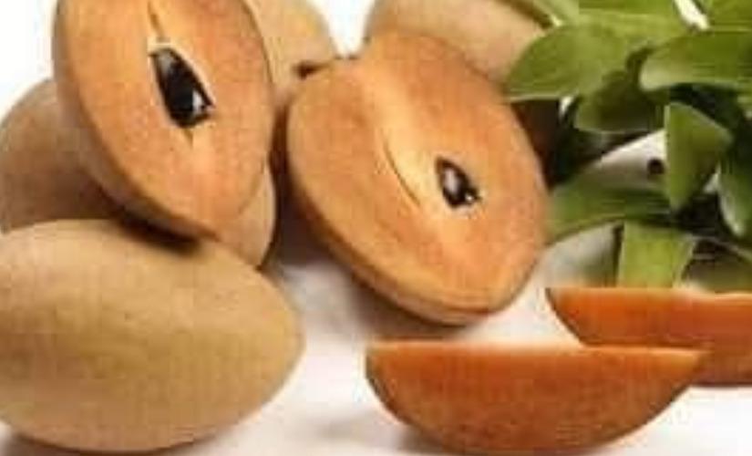 sappotta-fruits-health-tips