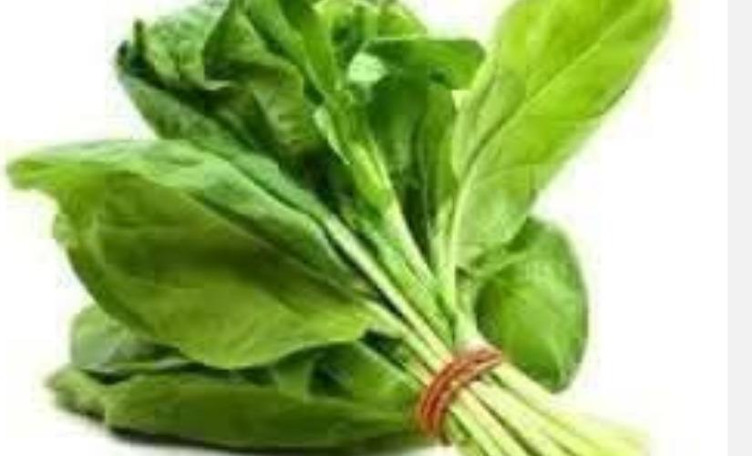 urinary-infection-problem