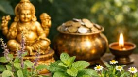 home-north-pole-remedy