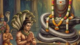 thirupampuram-adhi-seshan-sivan-temple