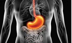 digest-problem-health-tips