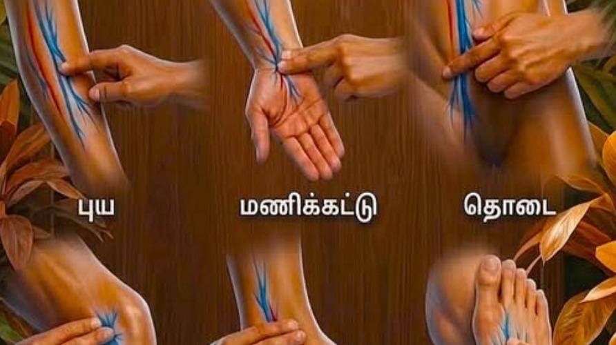 human-body-pulse-checkup