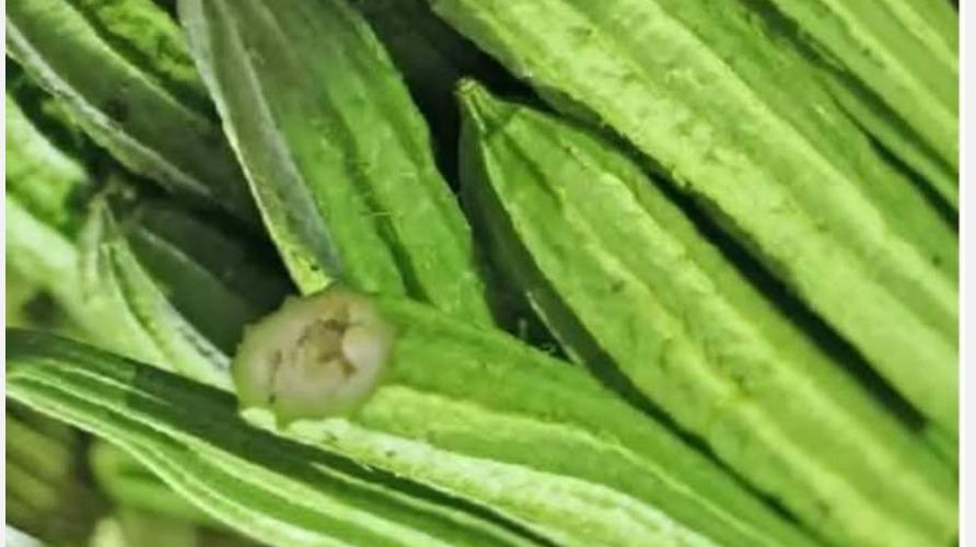 peerkangai-vegetable-health-tips