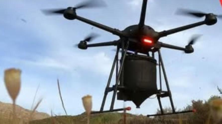china-drones-forests