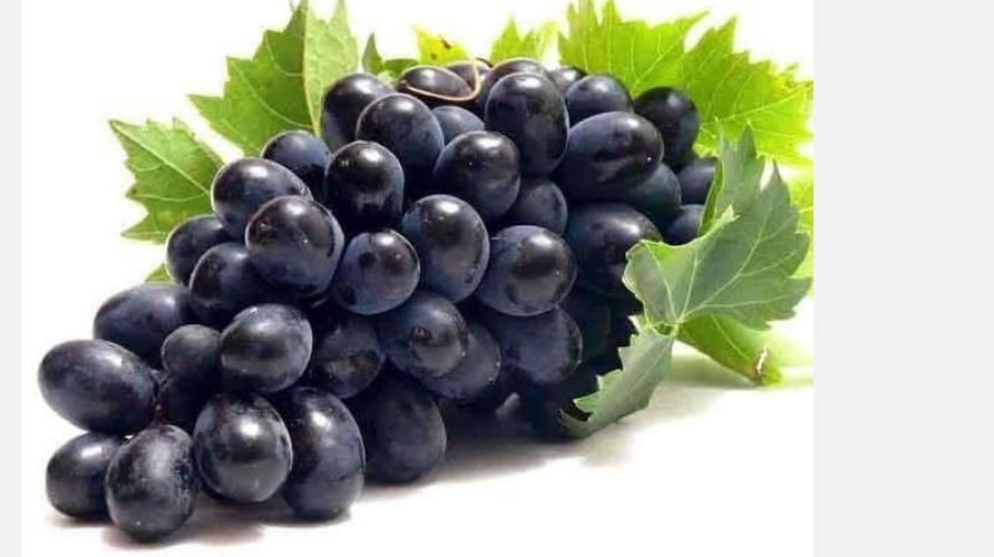 seedless-fruit-health-tips