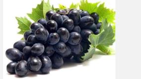 seedless-fruit-health-tips