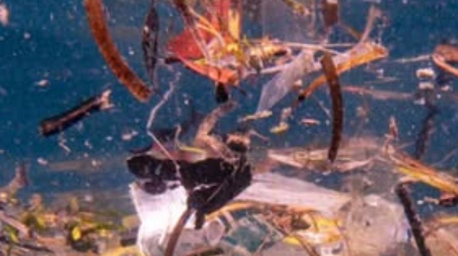 microplastics-environment-news
