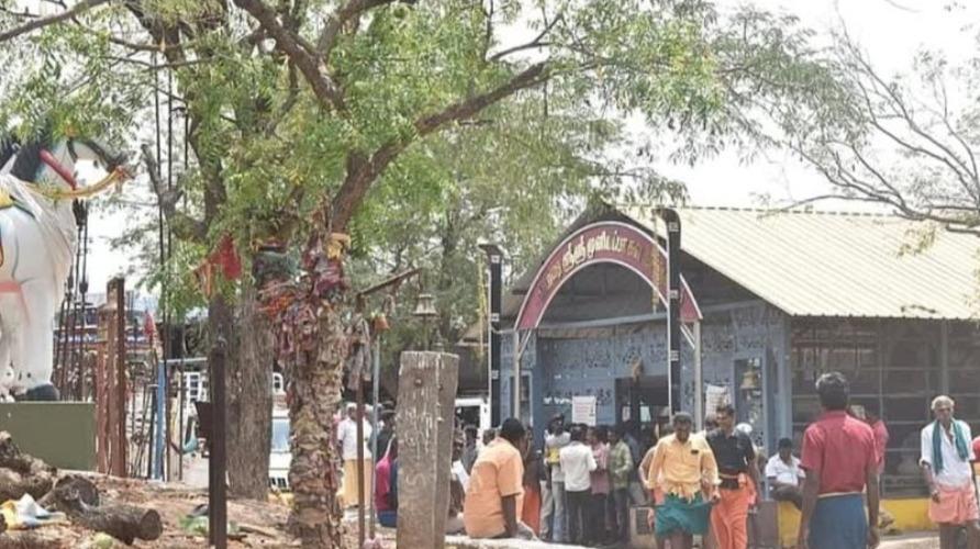 maambarai-muniappan-temple-dindugal