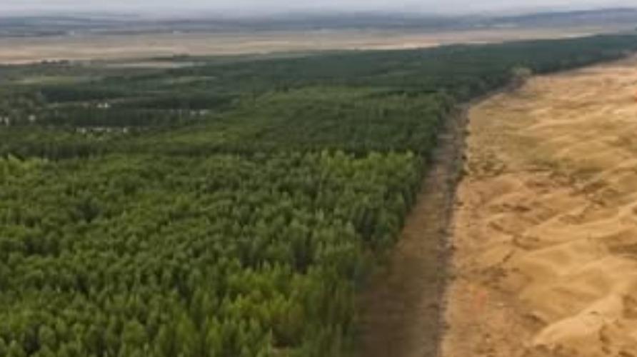 environmental-news-green-wall