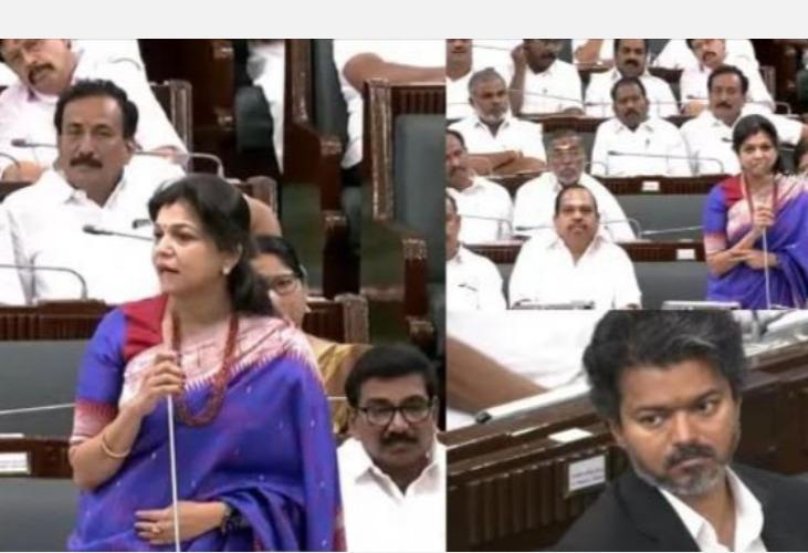 pmk-mla-sowmiya-anbumani
