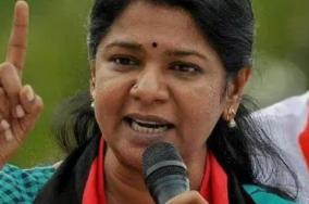 dmk-mp-kanimozhi-tvk-cm-vijay