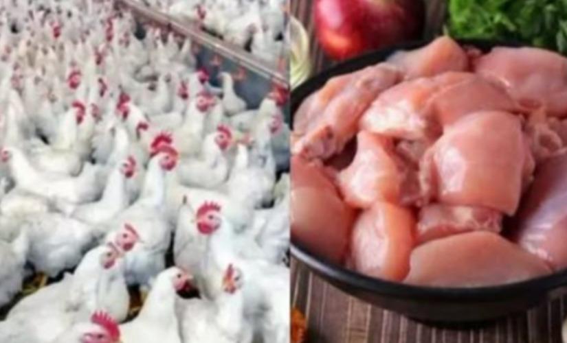 chicken-shops-strike