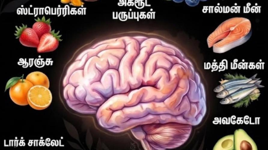 brain-healthy-food-omega-3