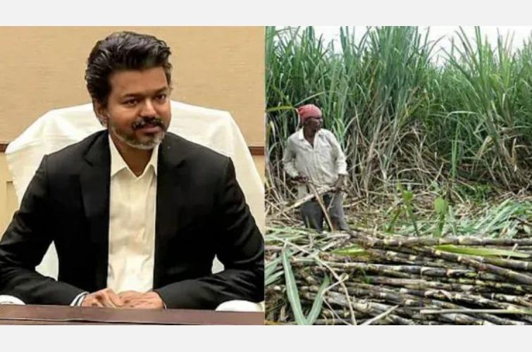 sugarcane-farmers-tn-govt