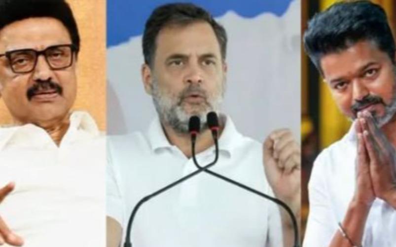 rahul-gandhi-mk-stalin-tvk-cm-vijay